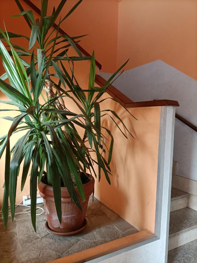 Albergo Roma Gattico Екстер'єр фото